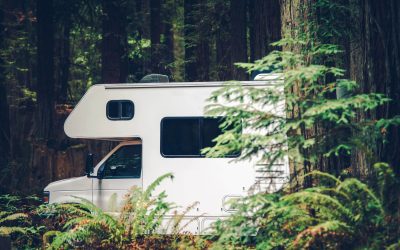 Roll In and Relax: The Best National Parks for RV Camping